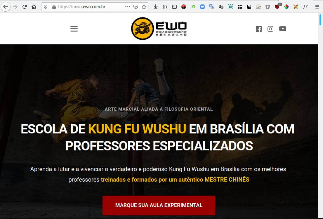 Site profissional com email e domínio próprio